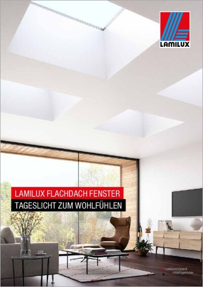 LAMILUX TALE Flachdach Fenster